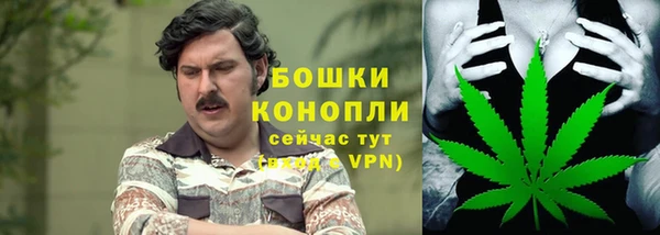 гашик Покров