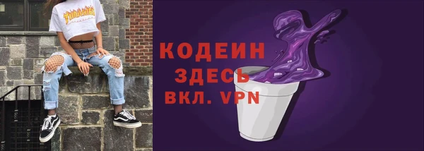 гашик Пестово