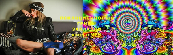 гашик Покров