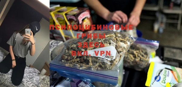 хмурый Покачи