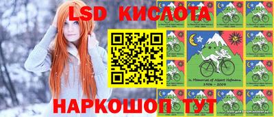 спиды Дубна