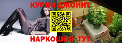 спиды Дубна