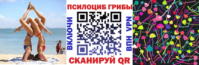 МЕГА зеркало  дарк нет наркотические препараты  Галлюциногенные грибы Psilocybe  Серов 