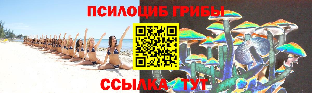 Серов  Псилоцибиновые грибы прущие грибы  Вход с VPN 